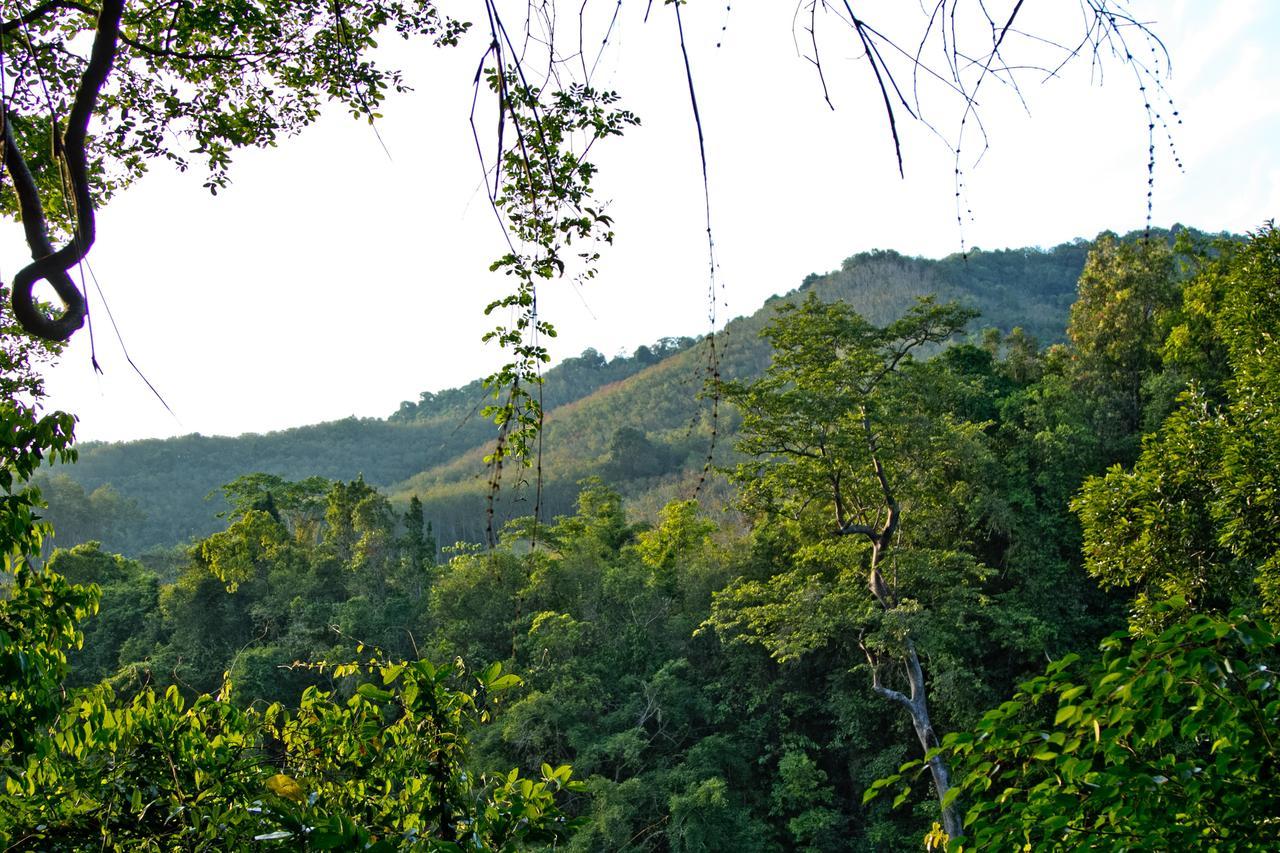 Chestnut Hill Eco Resort Had Yai Hat Yai Exterior foto